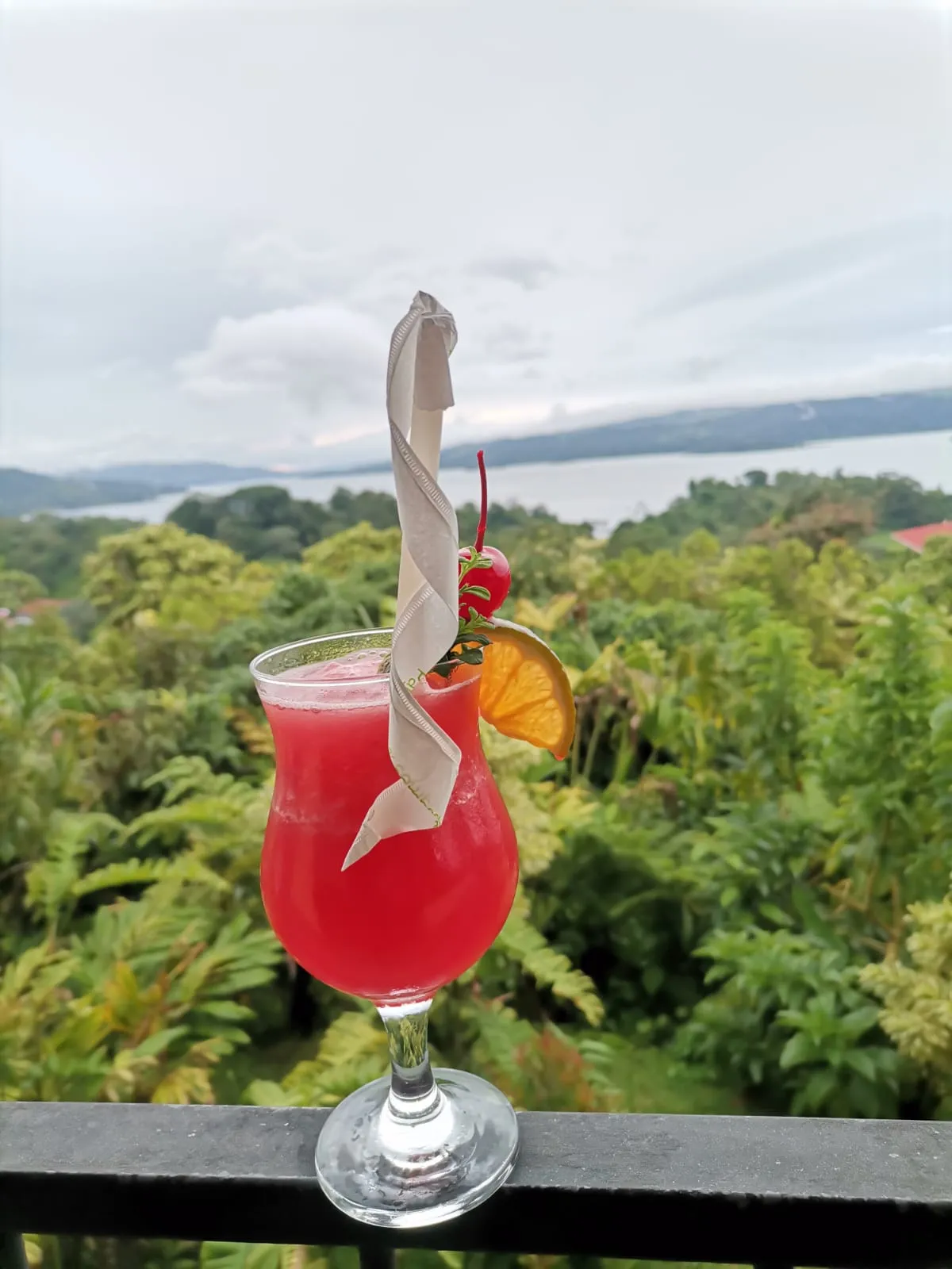 Artisan pasta and dishes - Restaurants with Arenal Volcano view